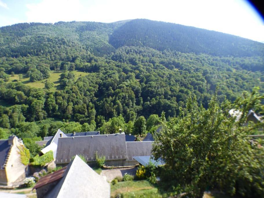 Maison Familiale Pour 8 Saint-Aventin Exterior photo