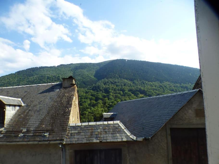 Maison Familiale Pour 8 Saint-Aventin Exterior photo